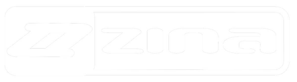Zina — polski producent sprzętu piłkarskiego